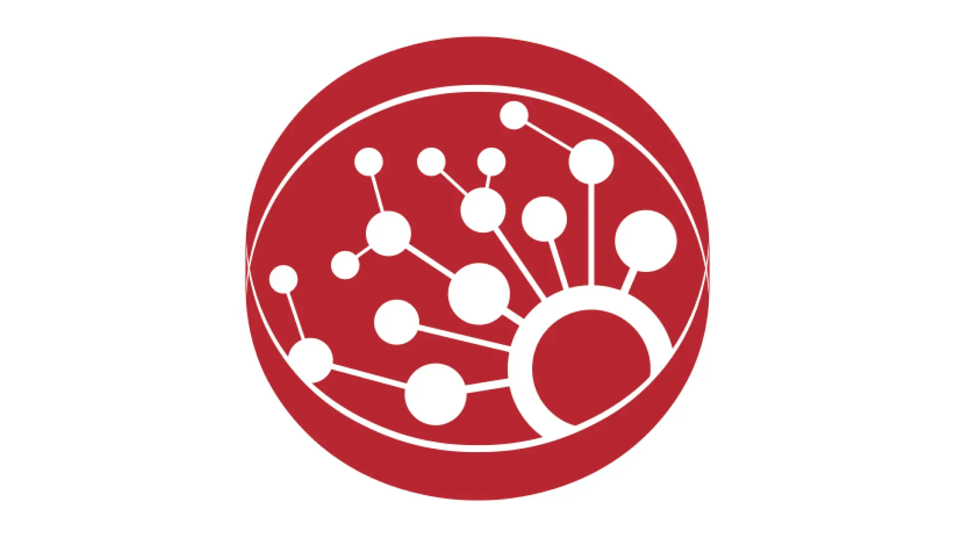 Combination of the circular and hexagonal concepts for the LiPS logo.